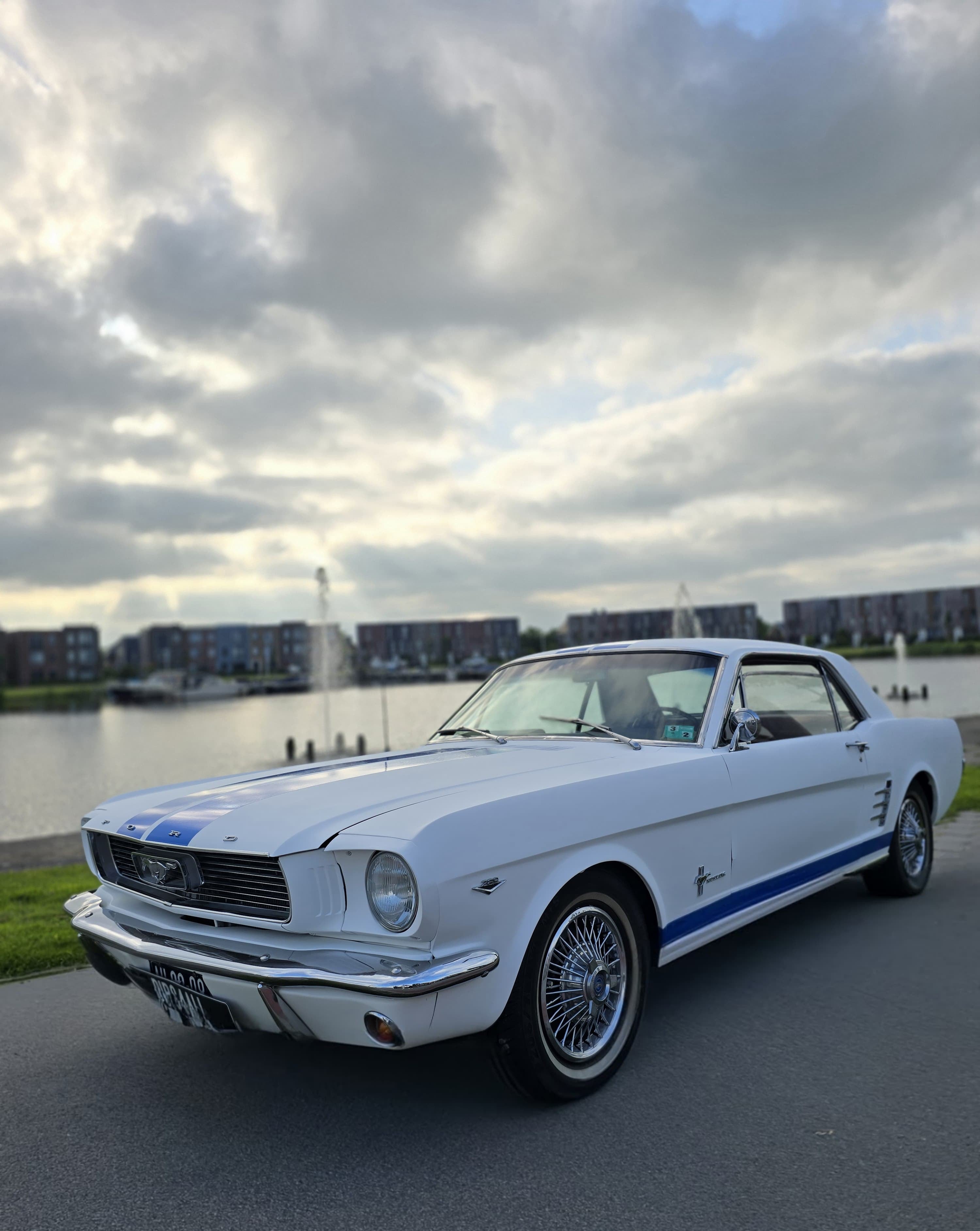 Spray wrapper vs Auto Dipper: Het Verschil in Aanbrengen van Spraywrap– Beste Prijs in Nederland